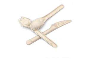 Disposable biodegradable cutlery