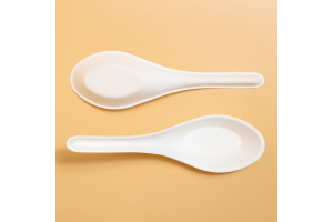 Disposable biodegradable cutlery