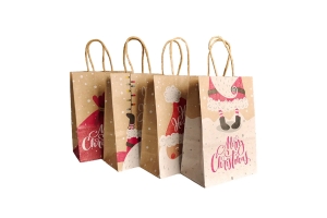 kraft paper bag with handles