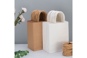 kraft paper bag with handles