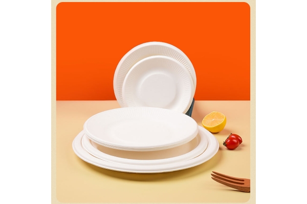 food container Plate